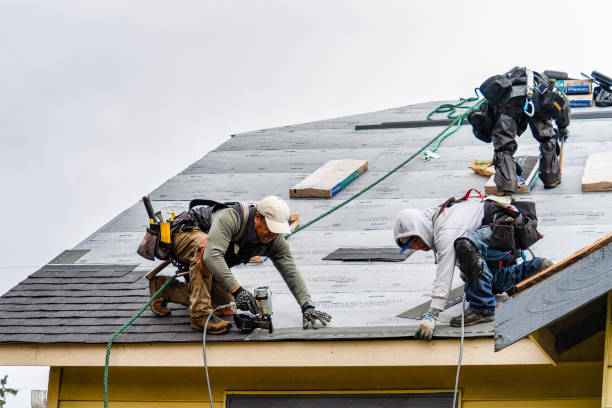 Professional Storm Damage Roof Repair technician working in Rose, NY